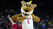 Mar 14, 2024; Las Vegas, NV, USA; Washington State Cougars mascot Butch during the game against the Stanford Cardinal at T-Mobile Arena. Mandatory Credit: Kirby Lee-Imagn Images