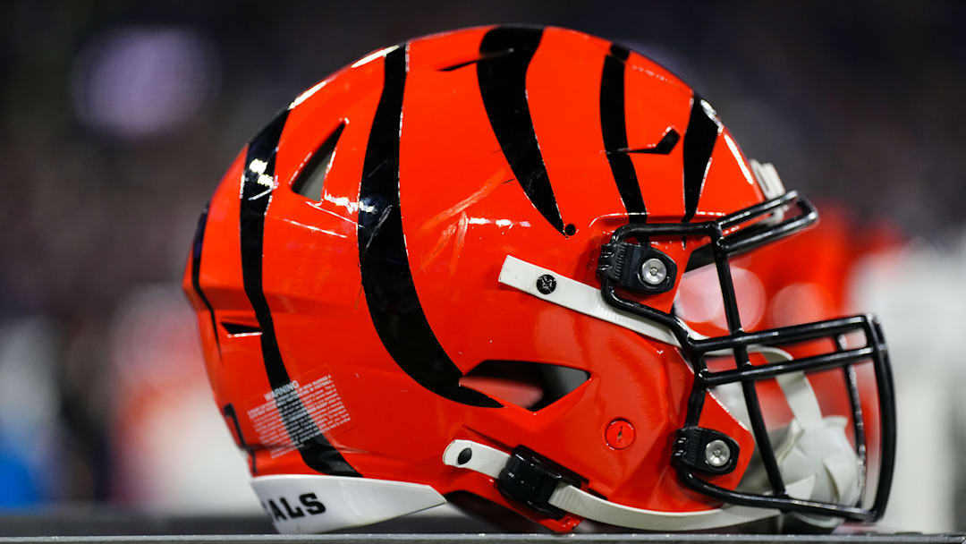 Cincinnati Bengals v Baltimore Ravens