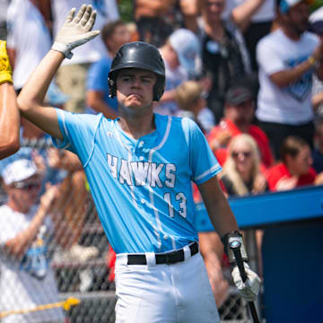 Lynnville-Sully is looking to repeat in Iowa high school state baseball this summer.