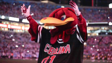 South Carolina Gamecocks mascot Cocky