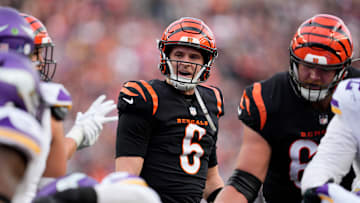 Minnesota Vikings v Cincinnati Bengals