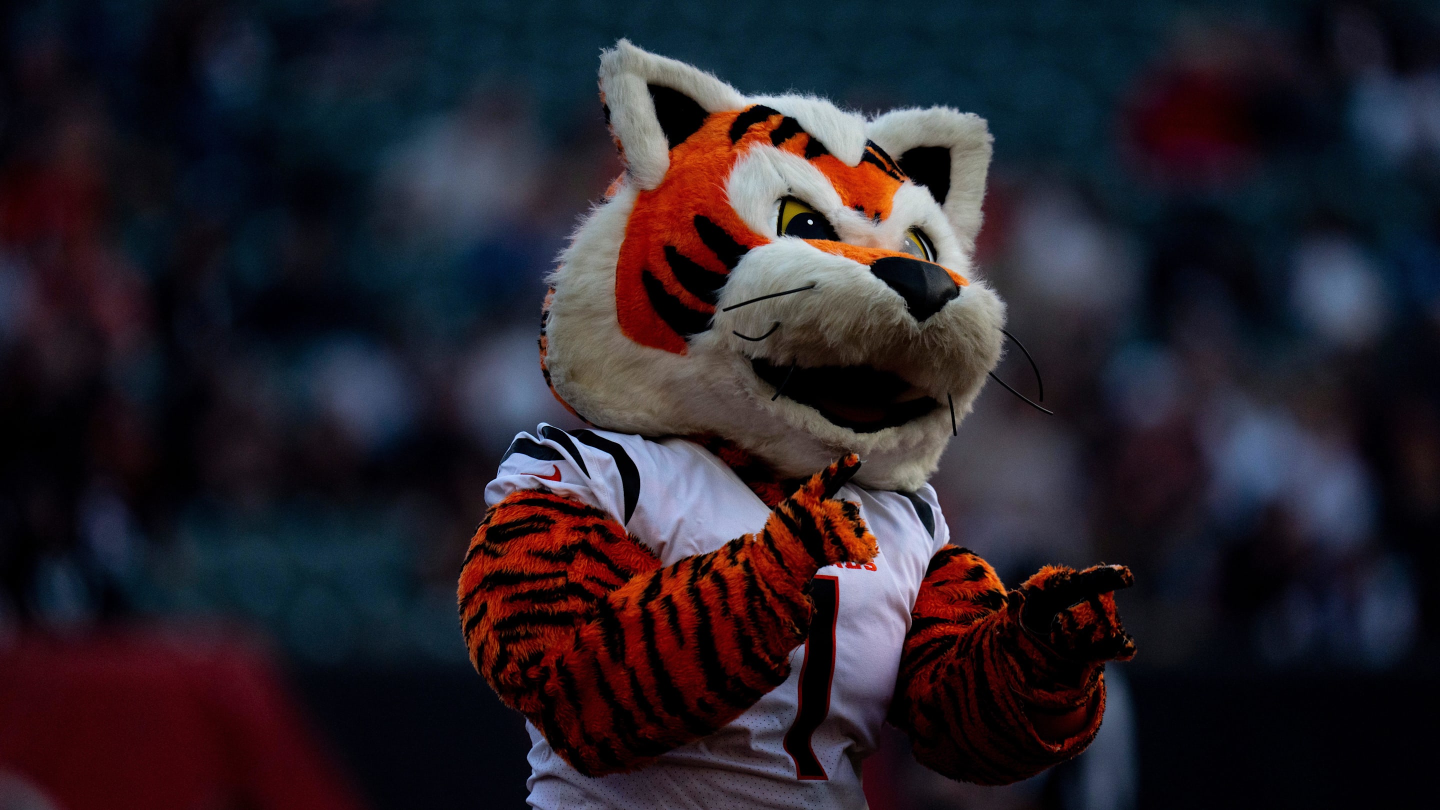 Cincinnati Bengals must make trade for former Pro Bowl QB to save season