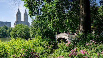 New York City Exteriors And Landmarks