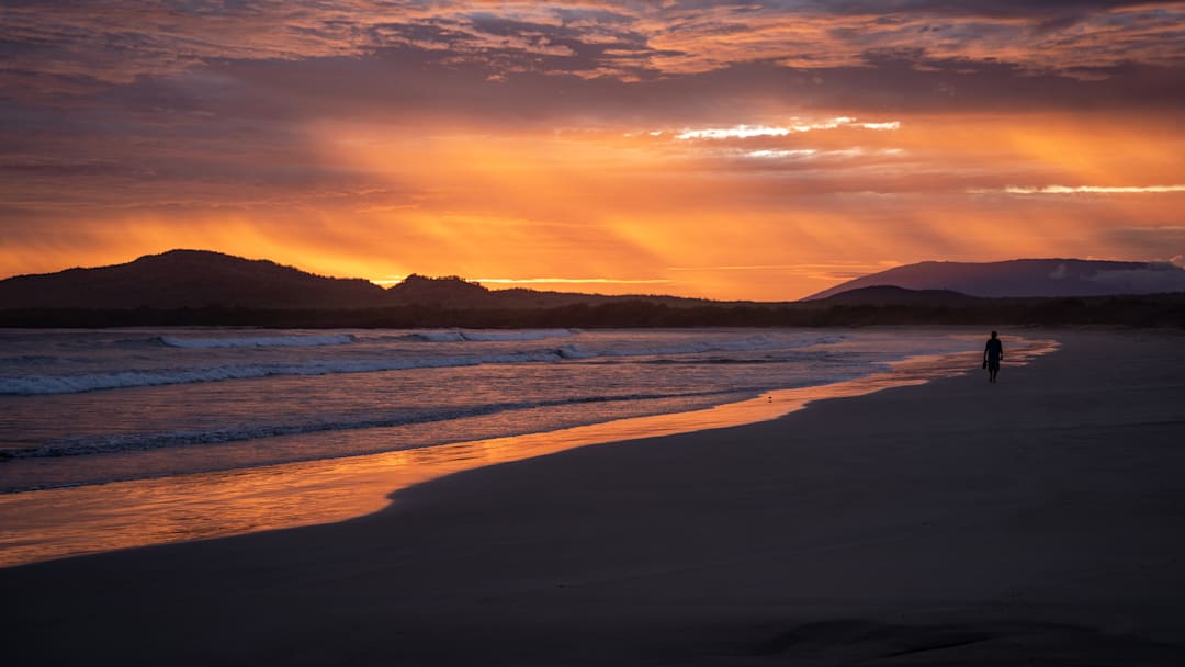 Galapagos: Living laboratory for plant, animal and marine research