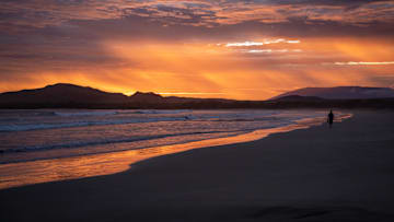 Galapagos: Living laboratory for plant, animal and marine research