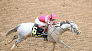 Sandman breezing down the track at Churchill Downs