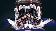 Prairie View Panthers Football Team
