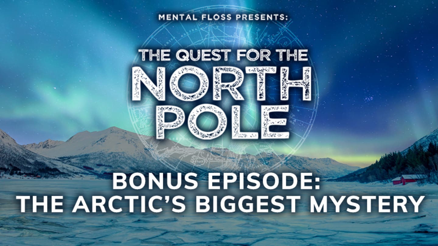 The Quest for the North Pole Transcript: The Arctic's Biggest Mystery