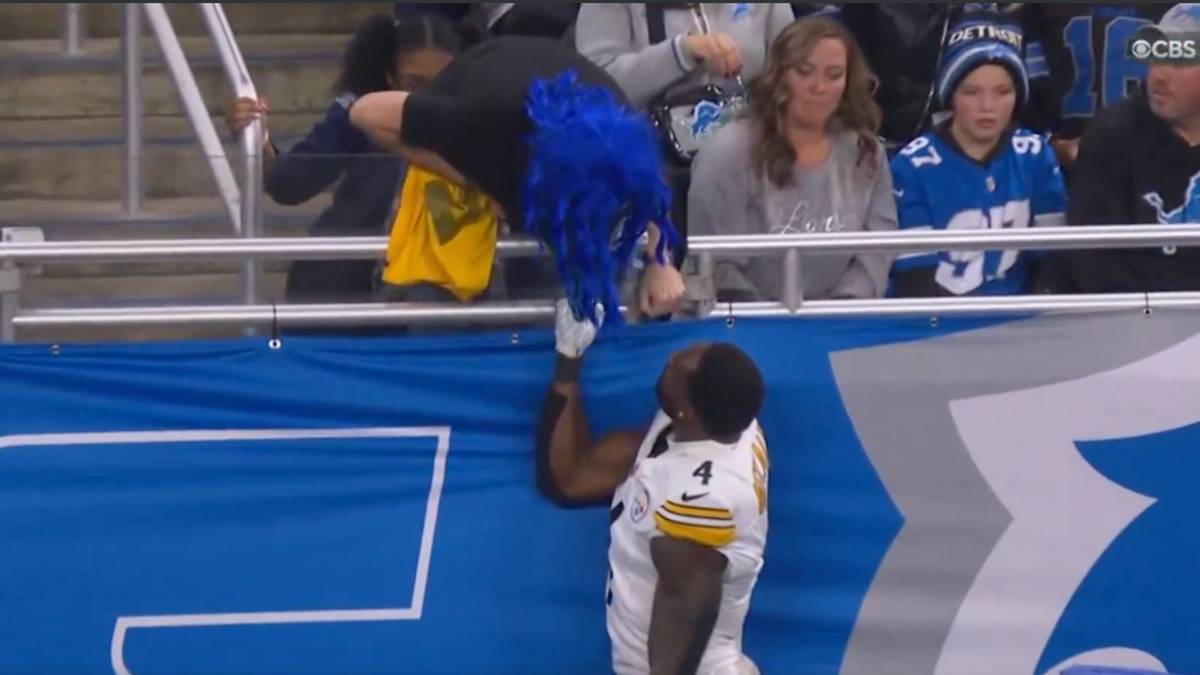 DK Metcalf Seen Taking Swipe At Lions Fan In Ugly Sideline Moment