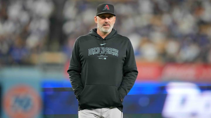 Jul 3, 2024; Los Angeles, California, USA; Arizona Diamondbacks manager Torey Lovullo reacts during the game against the Los Angeles Dodgers at Dodger Stadium. Mandatory Credit: Kirby Lee-USA TODAY Sports