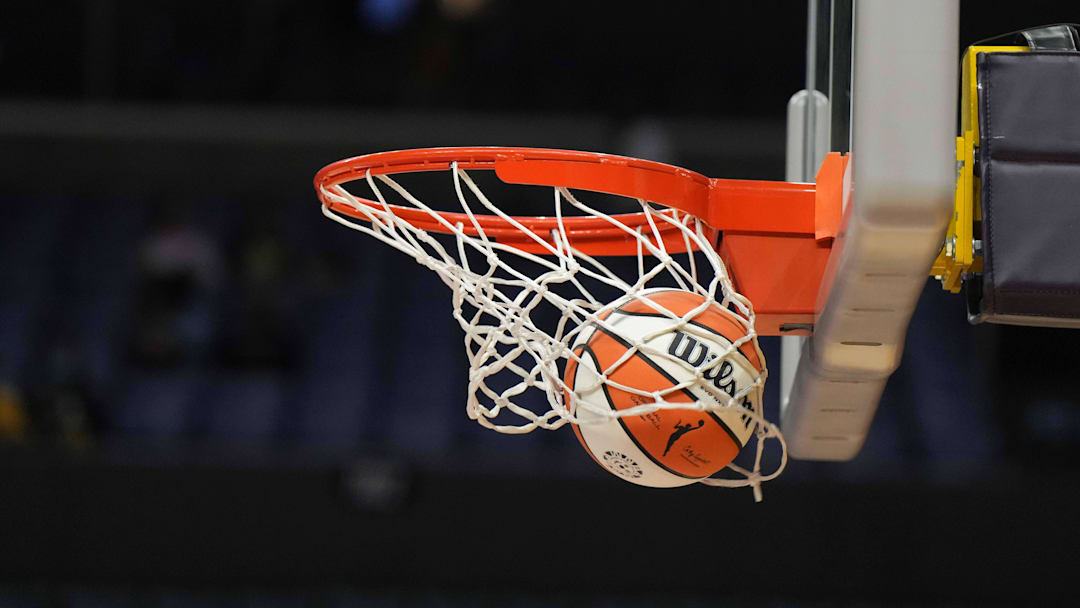 Wilson official basketball with WNBA logo Wilson official basketball with WNBA logo