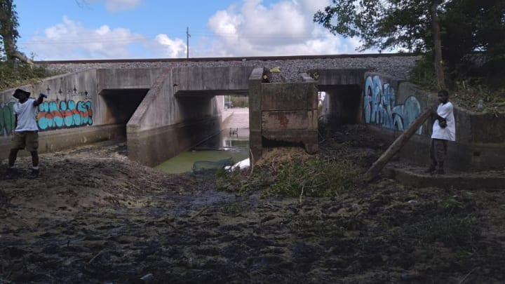 New Orleans activists are working to revitalize a former segregated beach that was once a "Black oasis."