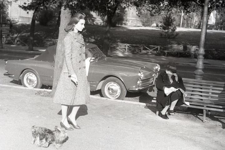 Audrey Hepburn walking with her Yorkie in 1959.