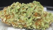 Sour Diesel Strain Review: Fun and Creativity with Every Toke - The Bluntness 