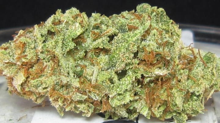 Sour Diesel Strain Review: Fun and Creativity with Every Toke - The Bluntness 