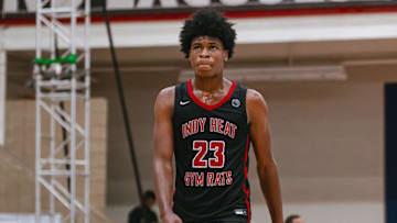 Indy Heat power forward Ferlandes Wright