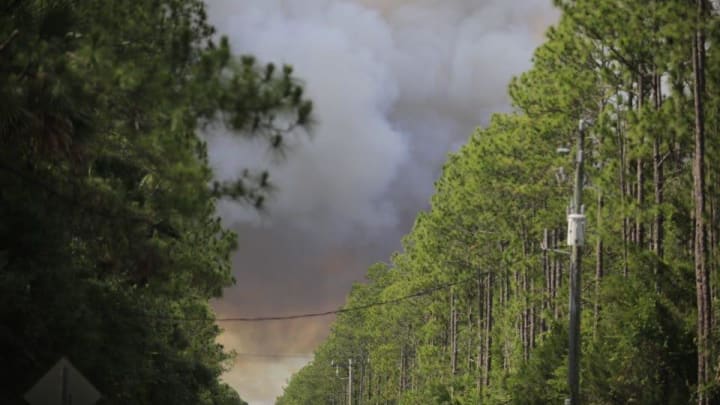 Smoke fills the sky near Pell Road in Osteen on Saturday, June 1, 2024. Officials say a 150-acre wildfire is currently burning in the area.