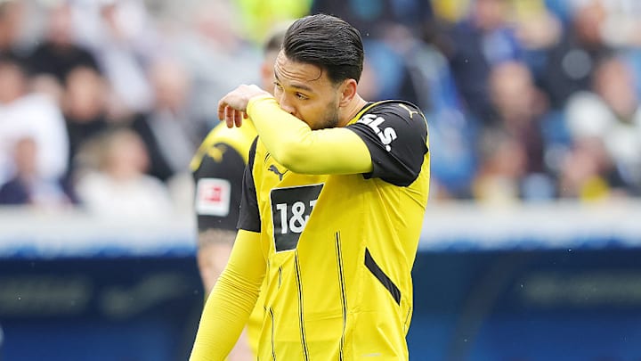 TSG 1899 Hoffenheim v Borussia Dortmund - Bundesliga