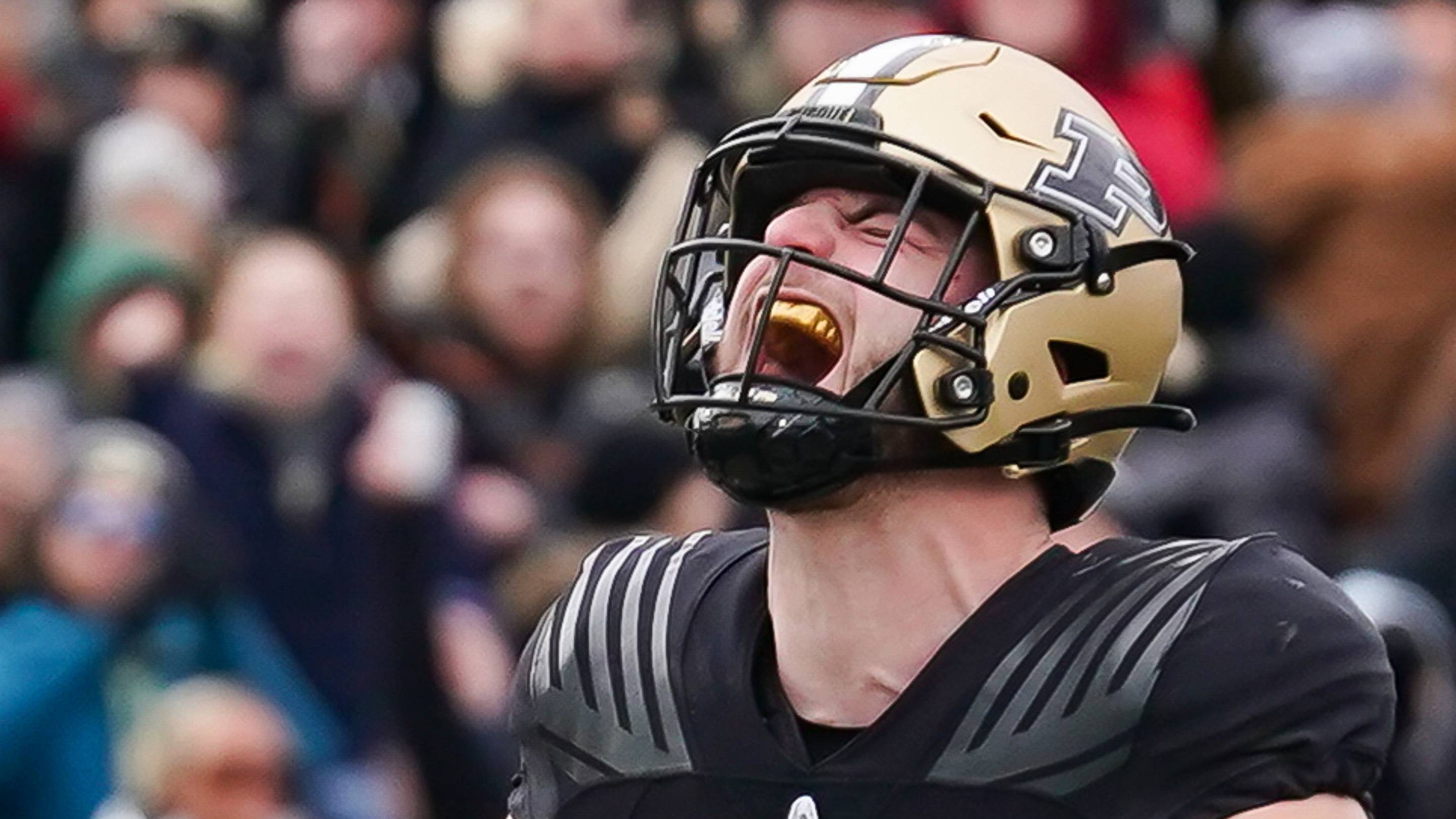Dream Fulfilled: Wisconsin Native Drew Biber Signs with Packers After Long Wait