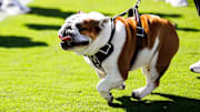 Mississippi State Live Mascot Bully XXII during the game between the Tennessee Volunteers and the Mississippi State Bulldogs at Davis Wade Stadium at Scott Field in Starkville, MS.