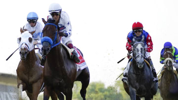 Instant Coffee odds, history and predictions for the 2023 Preakness Stakes. 