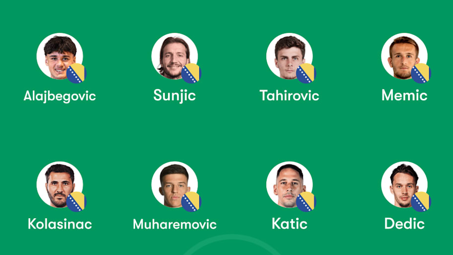 Bosnia & Herzegovina lineup 
