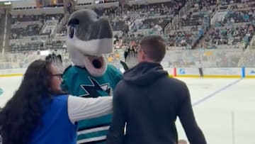 The San Jose Sharks mascot really upset a fan on Tuesday night.