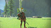 Full Yiga Clan Set