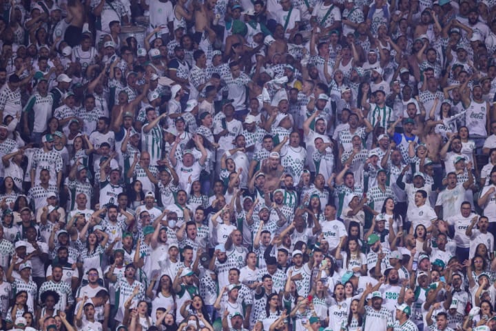 Palmeiras é o “segundo time” de 1,6% dos brasileiros.