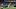 Davante Adams makes a catch Davante Adams makes a catch