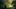 Engines of Reason by Adrian Tchaikovsky (Elder Race #2) Engines of Reason by Adrian Tchaikovsky (Elder Race #2)