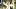 Piper Laurie in Carrie Piper Laurie in Carrie