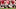 Oklahoma Sooners, Jacobe Johnson Oklahoma Sooners, Jacobe Johnson