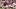 Oklahoma Sooners, Hayden Hansen Oklahoma Sooners, Hayden Hansen