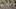 Oregon Ducks Trey McNutt, Kawika Rogers, Dayton Raiola, Ziyare Addison create lasting memories for Grants Pass Kids at the an Oregon Ducks Trey McNutt, Kawika Rogers, Dayton Raiola, Ziyare Addison create lasting memories for Grants Pass Kids at the an