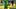 oregon ducks football uniform combination reveal nike zach grisham dan lanning portland state vikings autzen stadium jersey oregon ducks football uniform combination reveal nike zach grisham dan lanning portland state vikings autzen stadium jersey
