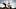 Zachary Dallas rides a brown bucking horse in a cowboy hat and white shir Zachary Dallas rides a brown bucking horse in a cowboy hat and white shir