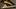 Bronze Boot Bronze Boot