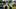 Owen Wilson, Peter Dagar, men playing golf Owen Wilson, Peter Dagar, men playing golf