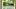 1999 Pokemon Japanese Promo Corocoro Best Photo #1 Snap Bulbasaur 1999 Pokemon Japanese Promo Corocoro Best Photo #1 Snap Bulbasaur