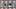 Desert Shield Set Desert Shield Set