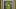 2011 Stussy X Marvel Comics Marvel #06 Dr. Doom CGC 9 (eBay ask: $300) 2011 Stussy X Marvel Comics Marvel #06 Dr. Doom CGC 9 (eBay ask: $300)