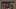 Pete Alonso Pete Alonso