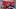 EX Unseen Forces Scizor ex