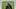 Davante Adams Davante Adams