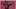 Image of player with football in right hand in throwing motion on pink background with 