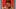 Image of player with red background, wearing NY Yankees cap and signed, "Sincerely, Babe Ruth."