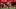 Nina Agdal Nina Agdal