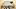 FourthWingCover FourthWingCover