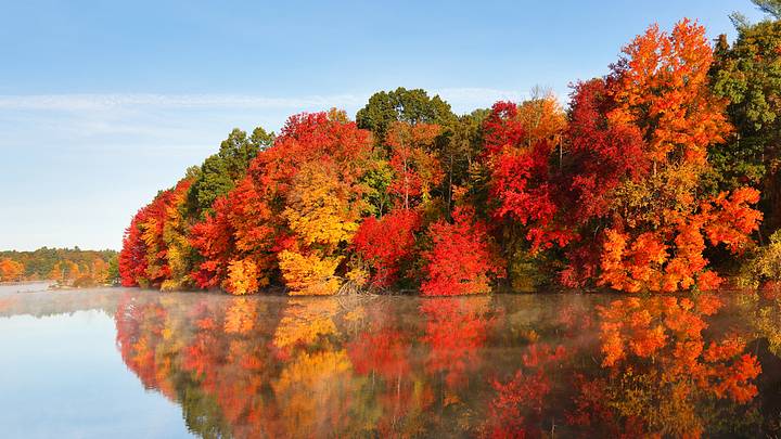 Fall foliage in Boston, Massachusetts Fall foliage in Boston, Massachusetts